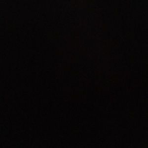 Meet your Posher, Bella